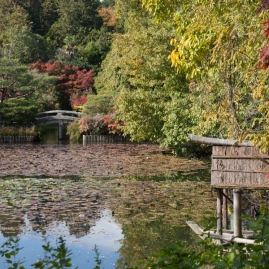 Ryoanji - Kyoyochi Pond 1