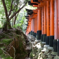 Fushimi Inari - cutting through the mountain (IMG_7768)