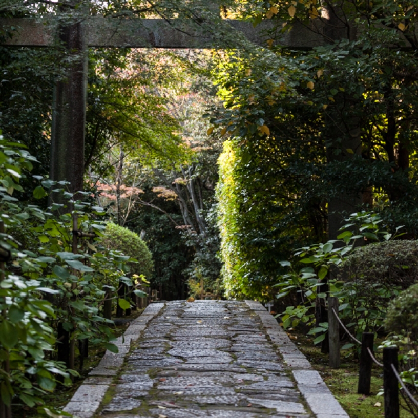 Konchi-in Temple - Torii over path