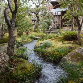 Tenryu-ji Temple - meandering stream