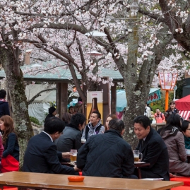 After work hanami - pic 1