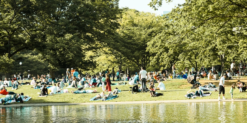 Picnickers - pic 1
